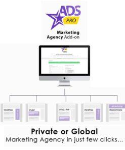 Ads Pro Add-on – WordPress Marketing Agency