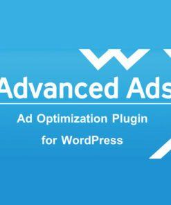 Advanced Ads Pro
