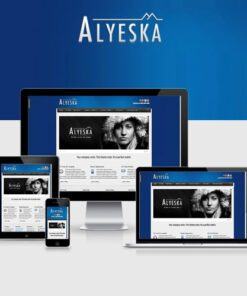 Alyeska Responsive WordPress Theme