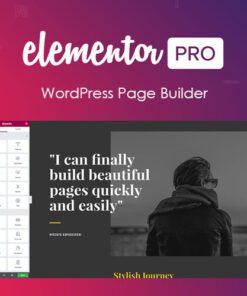 Elementor PRO và Pro Templates