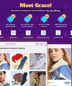 Instagram Feed Gallery — Grace for WordPress
