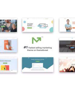 Marketing Pro – SEO WordPress Theme for SEO, Agency