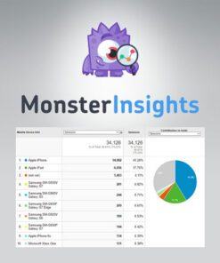 MonsterInsights – AMP Addon