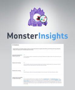 MonsterInsights – EU Compliance Addon