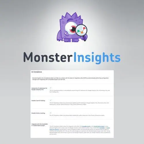 MonsterInsights – EU Compliance Addon