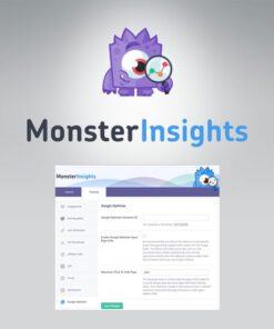 MonsterInsights – Google Optimize Addon