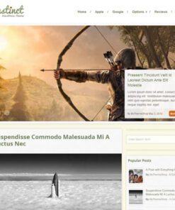 MyThemeShop Instinct WordPress Theme