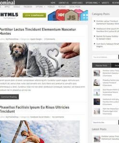 MyThemeShop Nominal WordPress Theme