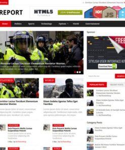 MyThemeShop Report WordPress Theme