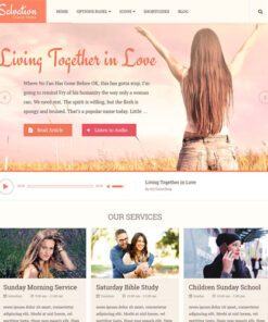 MyThemeShop Salvation WordPress Theme