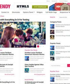 MyThemeShop Trendy WordPress Theme