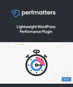 Perfmatters WordPress Plugin