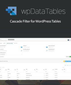 Powerful Filters for wpDataTables