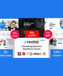 Reobiz – Consulting Business WordPress Theme