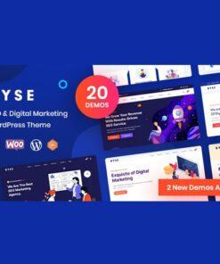 Ryse – SEO & Digital Marketing Theme