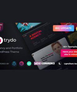 Trydo – Agency & Portfolio Theme