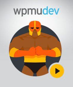 WPMU DEV Defender Pro