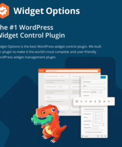 Extended Widget Options