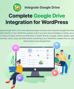 Integrate Google Drive PRO
