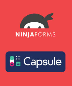 Ninja Forms Capsule CRM