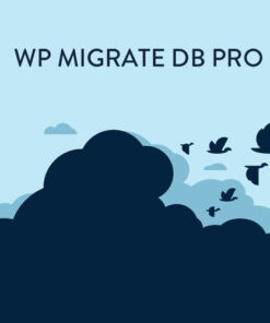 WP Migrate DB Pro