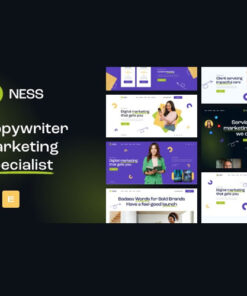 Ness – Marketing Agency & SMM WordPress Theme