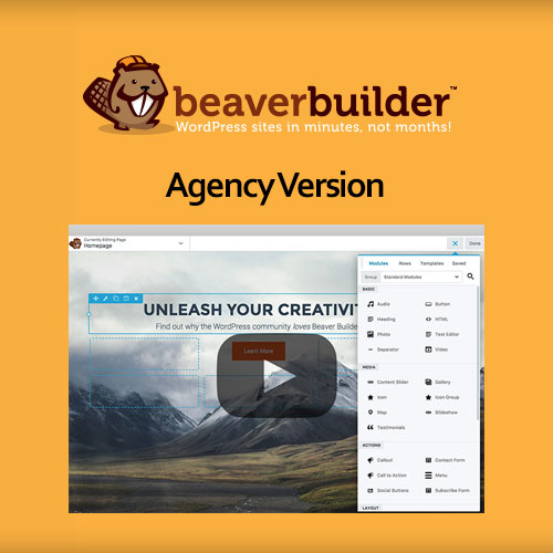 Beaver Builder Plugin (Pro Edition)